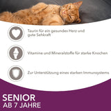 IAMS Delights Mokra karma dla starszych kotów - Wielopak z kurczakiem i rybą w sosie, wysokiej jakości mokra karma dla kotów powyżej 7. roku życia, 12 x 85g