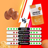 Eipulver aus Freilandeiern (1kg) | Pasteurisiertes Vollei Pulver | Ohne Zusatztoffe | Bez glutenu i bez laktozy | Vakuumverpackung im Zip-Beutel