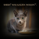 SHEBA Filety Katzenfutter Adult w sosie z kurczakiem, Hochseefisch i Garnelen 16 x 60 g w skorupce