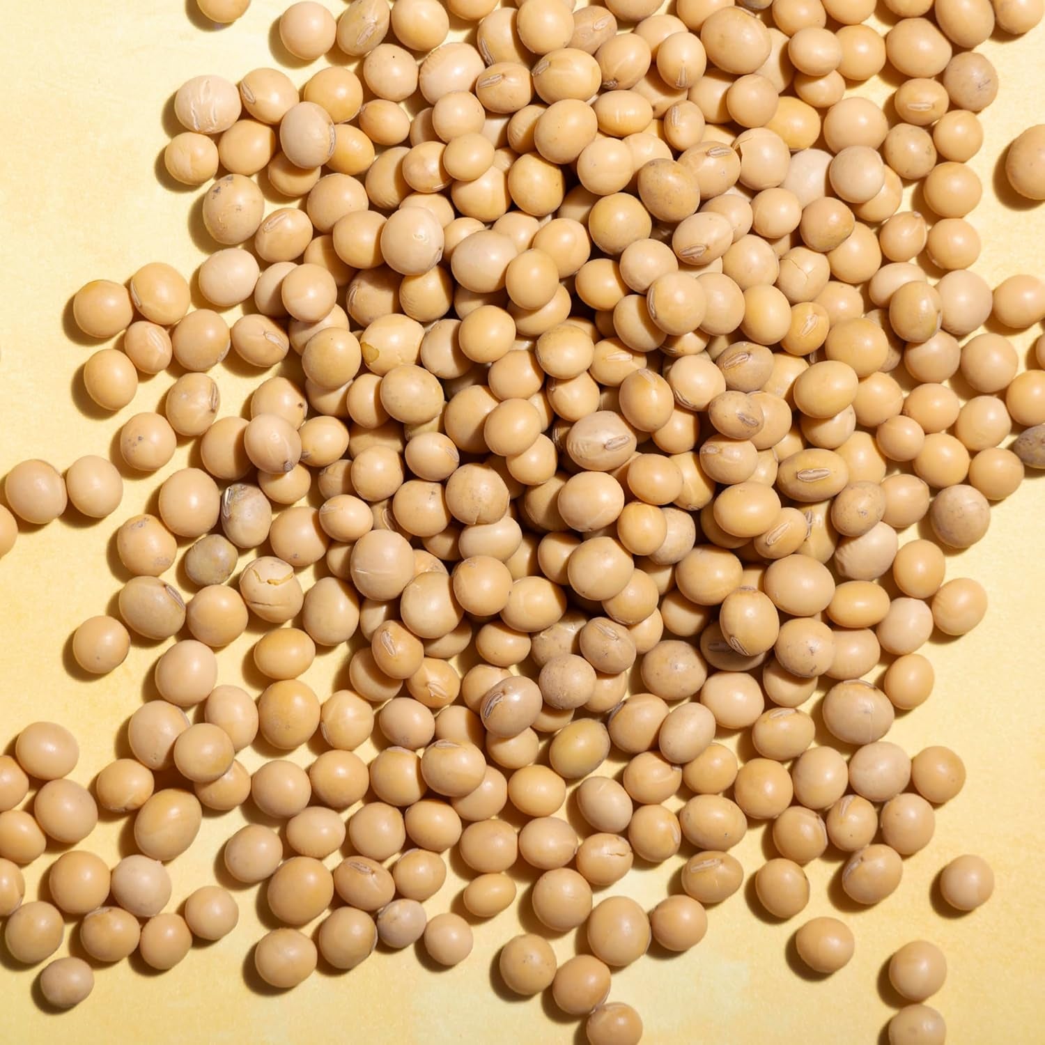 Wholefood Ziemia sojowa - bez GMO - naturalna - wegańska - bez nabiału - bez dodatku cukru 1 kg