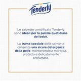 Chusteczki Disney Baby, Chusteczki miękkie, Idealne do codziennego czyszczenia dziecka, Postacie Disneya, Opakowanie 12 szt., Wyprodukowano we Włoszech, Testowane dermatologicznie