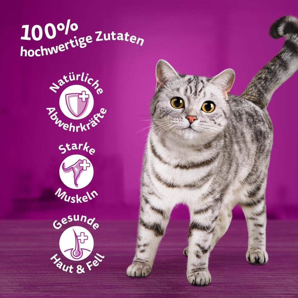 Whiskas 1+ mokra karma dla kotów z kurczakiem w galarecie, 28x85g (1 opakowanie) - Wysokiej jakości mokra karma dla dorosłych kotów w 28 saszetkach