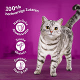 Whiskas 1+ mokra karma dla kotów z kurczakiem w galarecie, 28x85g (1 opakowanie) - Wysokiej jakości mokra karma dla dorosłych kotów w 28 saszetkach