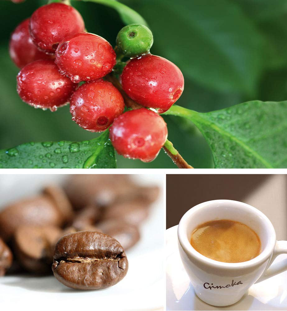 Gimoka - Kompatybilny z Nescafè - Dolce Gusto - 64 Kapsel - Kremowy smak - Intensität 10 - Wyprodukowano we Włoszech - 4 Packungen Zu 16 Kapseln