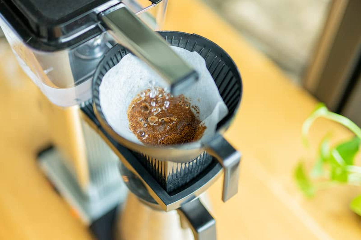Filtr wiosennych kwiatów | 250 g pełnych ziaren | sprawiedliwe i zrównoważone | świeżo smażone | kawa ziarnista 100% Arabica | specjalna kawa | 19 gramów Cafe Roastery…