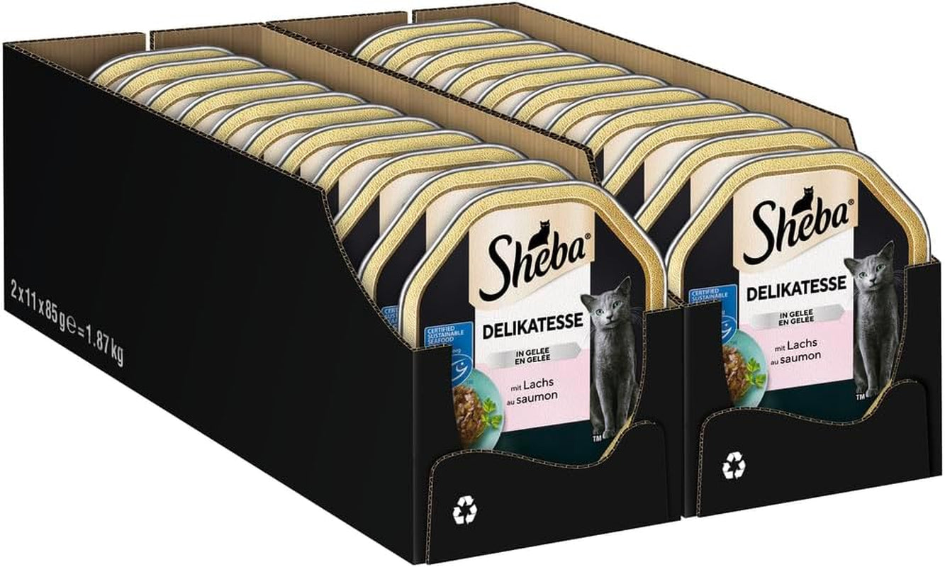Sheba Mokra karma dla kotów, delikatesy w galaretce z łososia, 2 x 11 x 85g