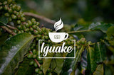 Kawa Iguaque 1000gr | Premium Kaffee ganze Bohnen 100% Arabika z Kolumbii | Familienbetrieb - Single Origin Kaffeebohnen - Nachhaltige eigene Plantage im Hochland - Kräftiges Aroma