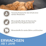 IAMS Delights Sea Collection Katzenfutter Nass - Opakowanie zbiorcze z Fisch Sorten (Lachs, Thunfisch, Makrela, Seefisch) w sosie, Nassfutter für Katzen od 1 Jahr, 12 x 85g