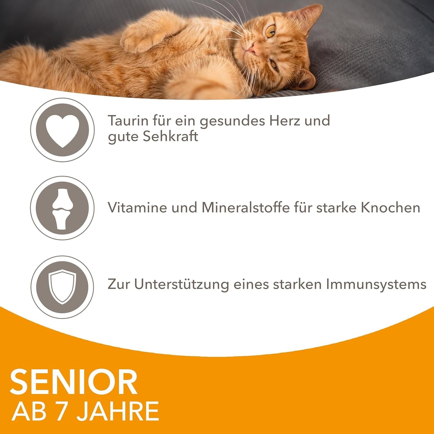 IAMS Delights Mokra karma dla kotów z kurczakiem w sosie dla starszych kotów od 7. roku życia – wielkość próbna, pojedyncza saszetka, 1 x 85 g