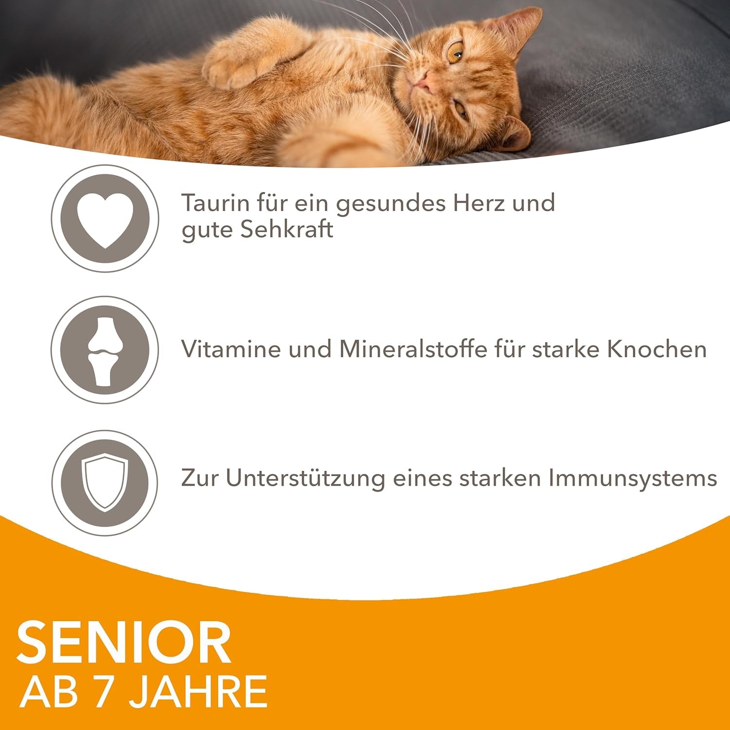 IAMS Delights Mokra karma dla kotów z kurczakiem w sosie dla starszych kotów od 7. roku życia – wielkość próbna, pojedyncza saszetka, 1 x 85 g