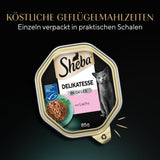 Sheba Mokra karma dla kotów, delikatesy w galaretce z łososia, 2 x 11 x 85g