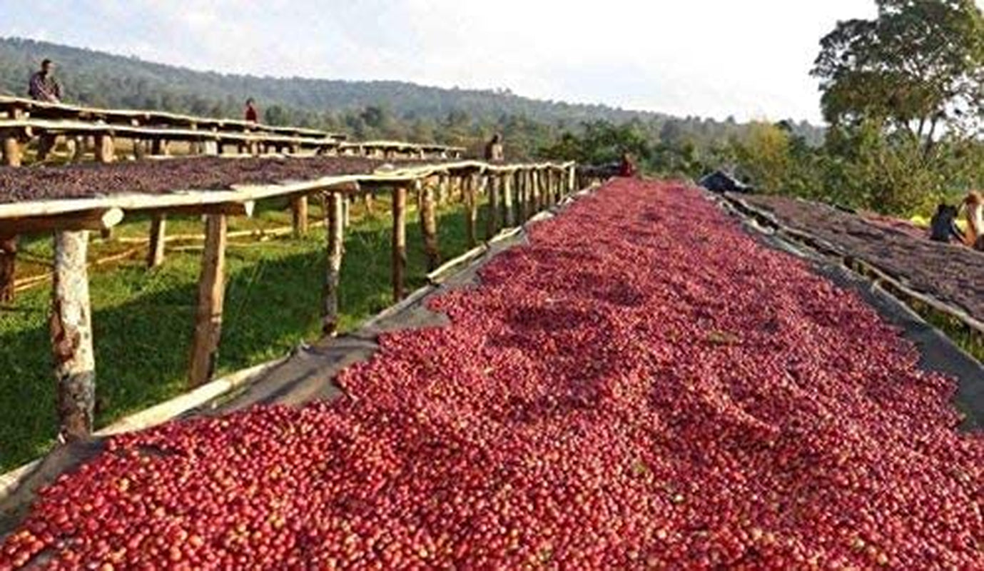 Kawa bezkofeinowa ziarnista 1 kg naturalna 100% - Espresso Intensywny smak z Kolumbii i Brazylii.