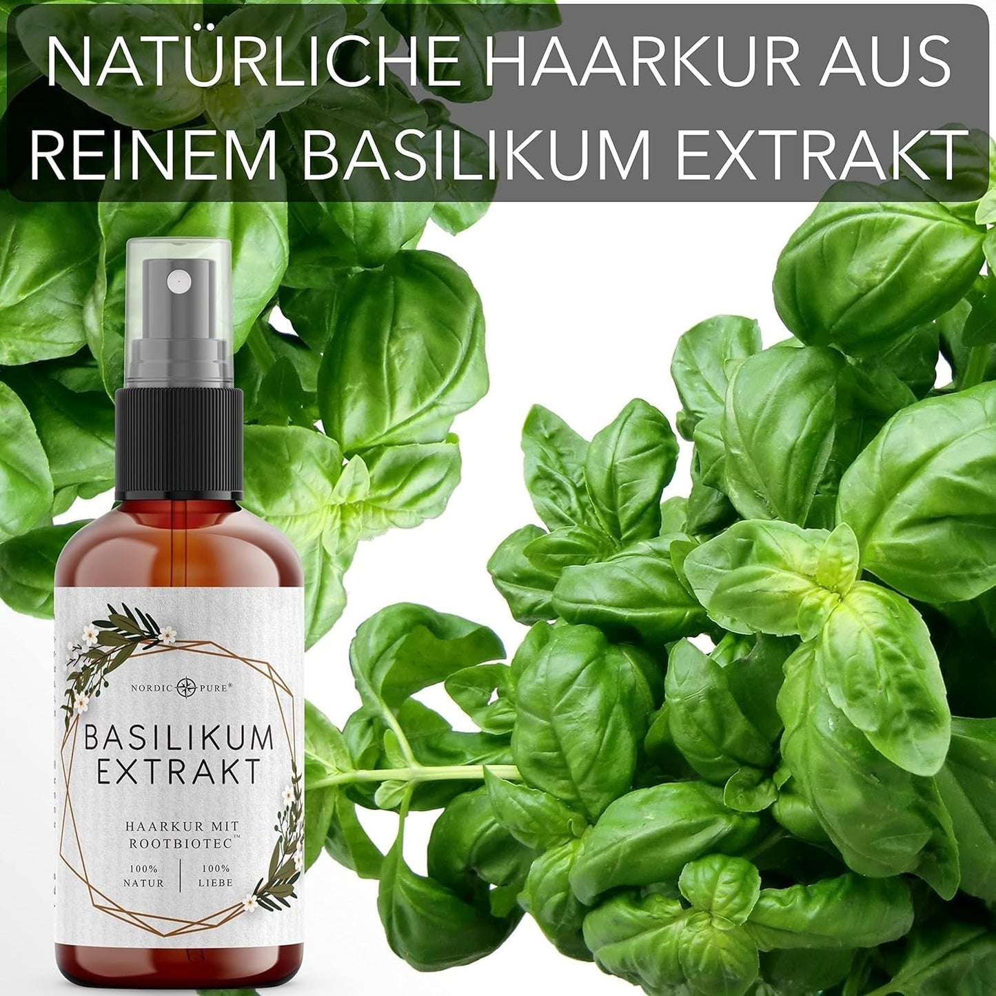 Kuracja do włosów z ekstraktem z bazylii od Nordic Pure | Do pielęgnacji włosów cienkich, suchych i delikatnych | Może zapobiegać wypadaniu włosów 100ml Pielęgnacja włosów Naty Shop