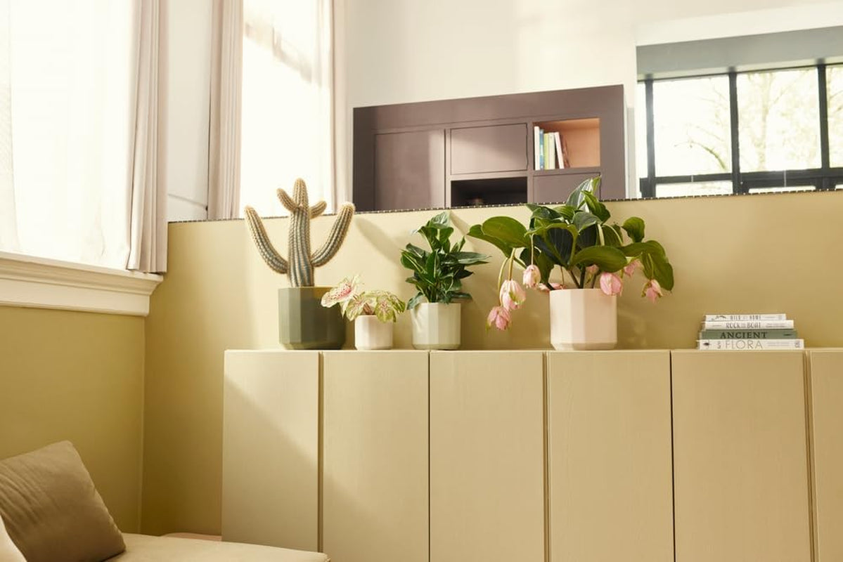 Okrągła doniczka elho Facet 23cm - do użytku w pomieszczeniach - 100% plastiku pochodzącego z recyklingu - Ø 22,7 x wys. 20,4 cm - Różowy/Migdałowy róż
