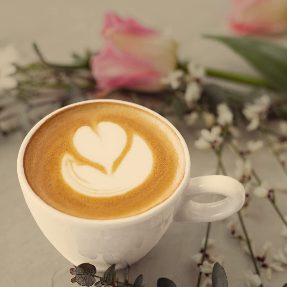 - Mokka 1000g | Mocna kawa do Schümli i espresso z w pełni automatycznych ekspresów | Całe palone ziarna kawy | Zawiera 90% ziaren Arabiki