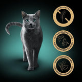SHEBA Nature's Collection w sosie - wysokiej jakości mokra karma dla kotów, drobnej odmiany (MSC) w porcjowanych saszetkach - 72 x 85 g