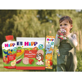 HiPP Oatmeal Vanilla Heart Mini Biscuits (12 x 40g), od 1 roku, organiczny batonik w kształcie serca, bogaty w zboża i błonnik, słodzony wyłącznie owocami, najwyższej jakości organicznej