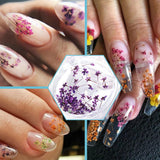 EYVRPAU 6 Stück Nail Art Zestaw kwiatów Dekoracja, Gelnägel Zubehör 6 Farben, Nail Art Aufkleber Trockene Blumen Kit Getrocknete Blumen Zubehör Zestaw DIY Nageldekoration