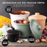 Römertopf Fresh Pot MINI 0,6 litra - Ceramiczny pojemnik na czosnek - Oddychająca glinka utrzymuje warzywa na dłużej świeże - Idealna cyrkulacja powietrza - Biały Pudełka do przechowywania żywności Naty Shop