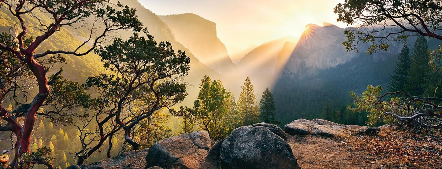 Ravensburger Puzzle 15083 - Yosemite Park - 1000-elementowe puzzle dla dorosłych i dzieci powyżej 14 lat w formacie panoramicznym Puzzle Naty Shop Nowy design