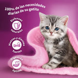 Whiskas Junior Classic mokra karma dla kotów, 13 x 4 x 85 g