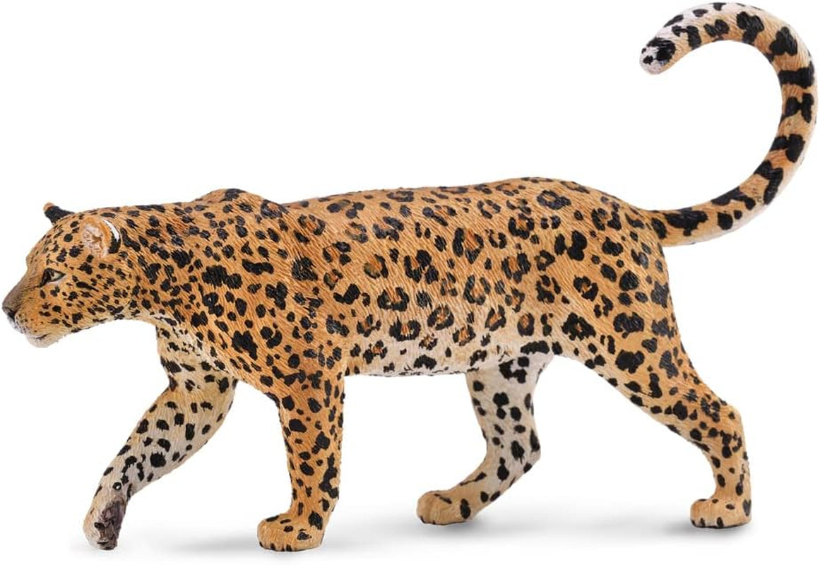 Collecta - Afrykański lampart (88866) Figurki Naty Shop Domyślny tytuł