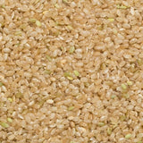 Wholefood Earth krótkoziarnisty ryż brązowy - bez GMO - naturalny - wegański - bez nabiału - bez dodatku cukru, 3 kg