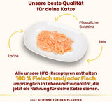 Almo Nature HFC Jelly - Nassfutter für ausgewachsene Katzen - Lachs - klasa ludzka, bezglutenowa i monoproteinowa - 6 x 70g