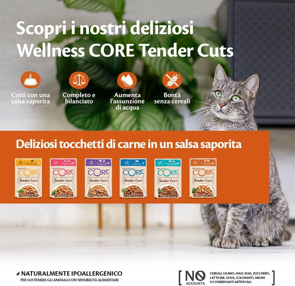 Wellness CORE Tender Cuts 6 x 85g, Chicken Selection Mix - Mokra karma dla kotów, delikatne kawałki w sosie, bez zbóż, naturalna, hipoalergiczna, bogata w białko, o wysokiej zawartości mięsa