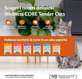 Wellness CORE Tender Cuts 6 x 85g, Chicken Selection Mix - Mokra karma dla kotów, delikatne kawałki w sosie, bez zbóż, naturalna, hipoalergiczna, bogata w białko, o wysokiej zawartości mięsa