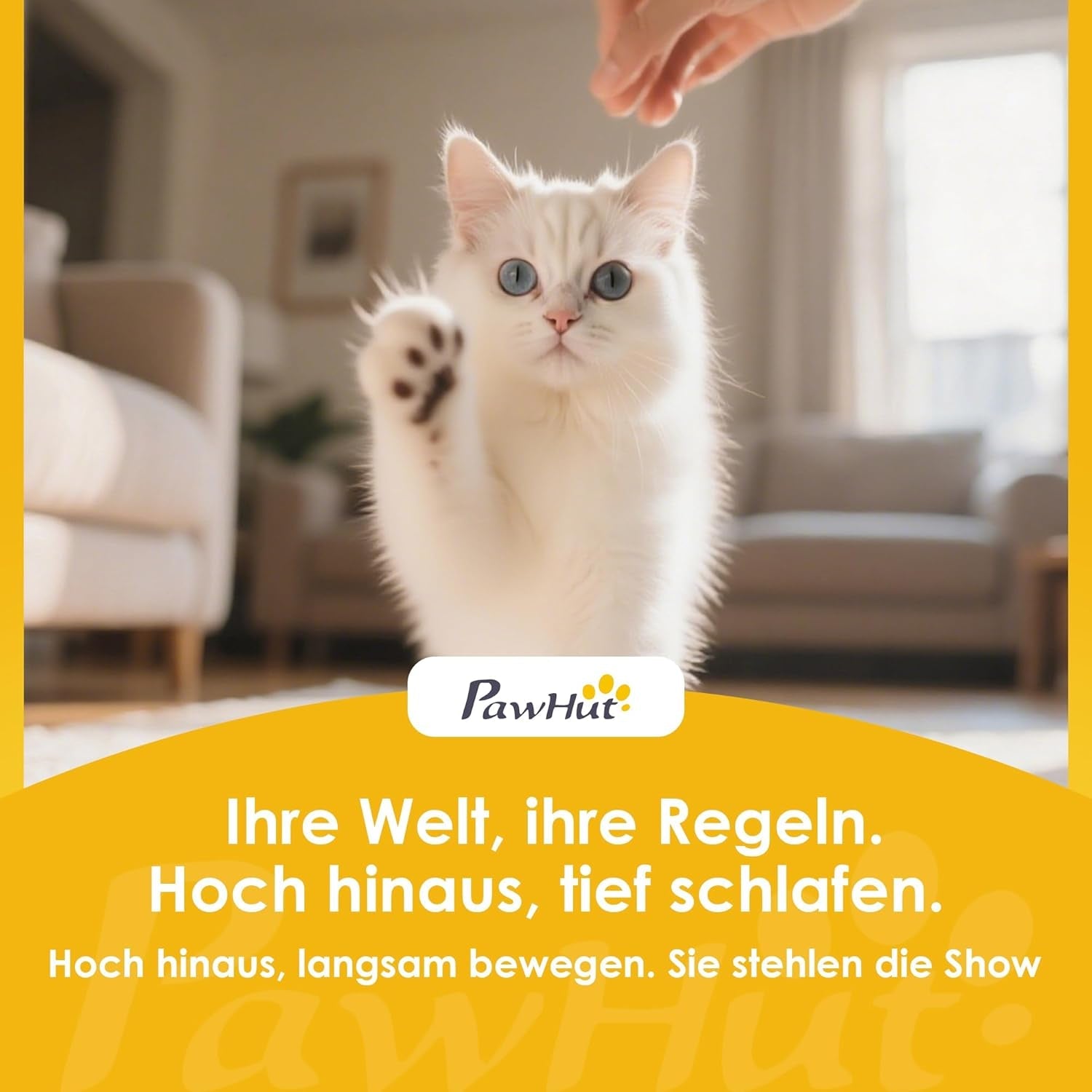 Łóżka i sofy, Koce i meble, Zwierzęta domowe, Koty, Legowiska dla kotów, Koty - legowiska, materace