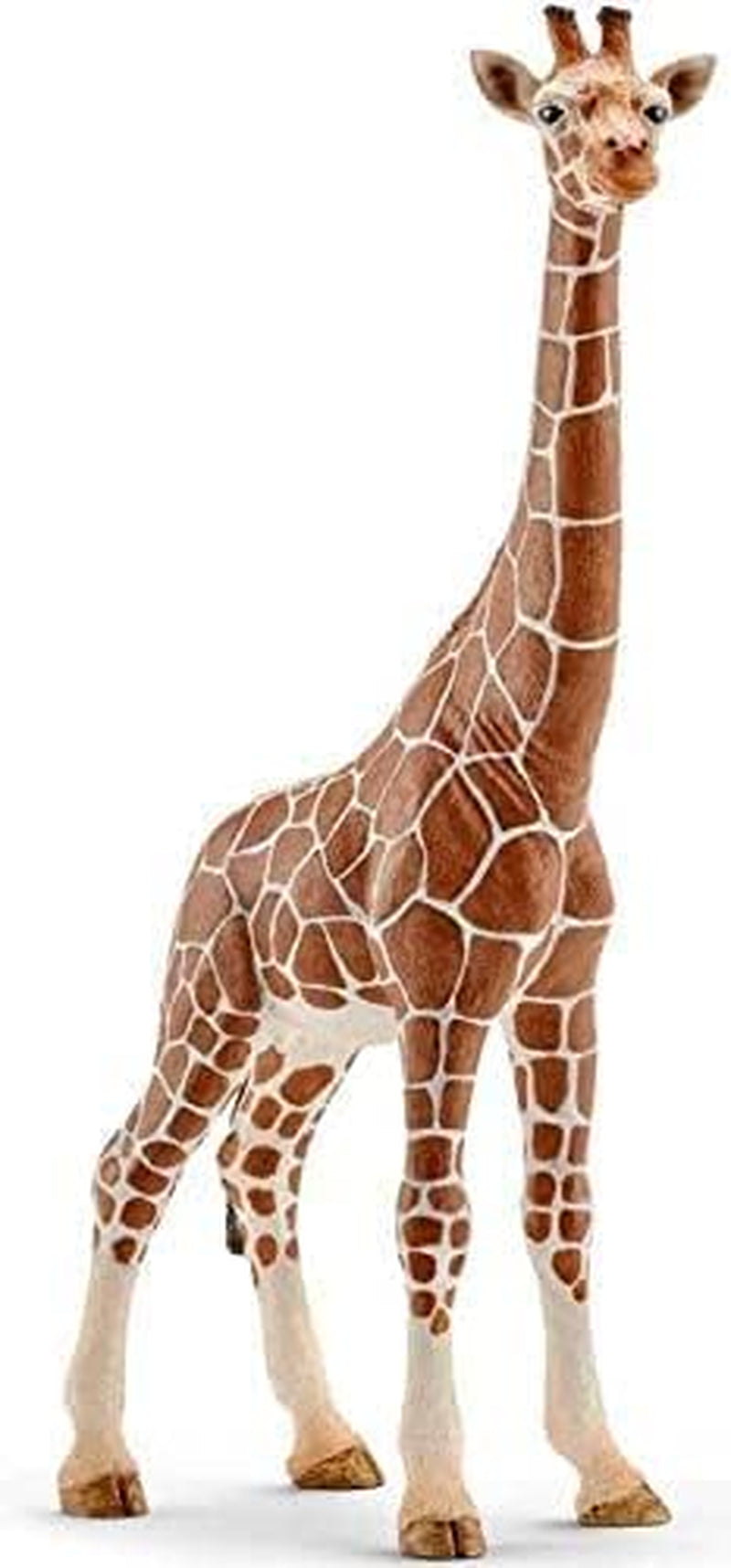 Schleich 15024 Pachycefalozaur, dla dzieci od 5-12 lat, DINOZAURY - figurka do zabawy Figurki Naty Shop