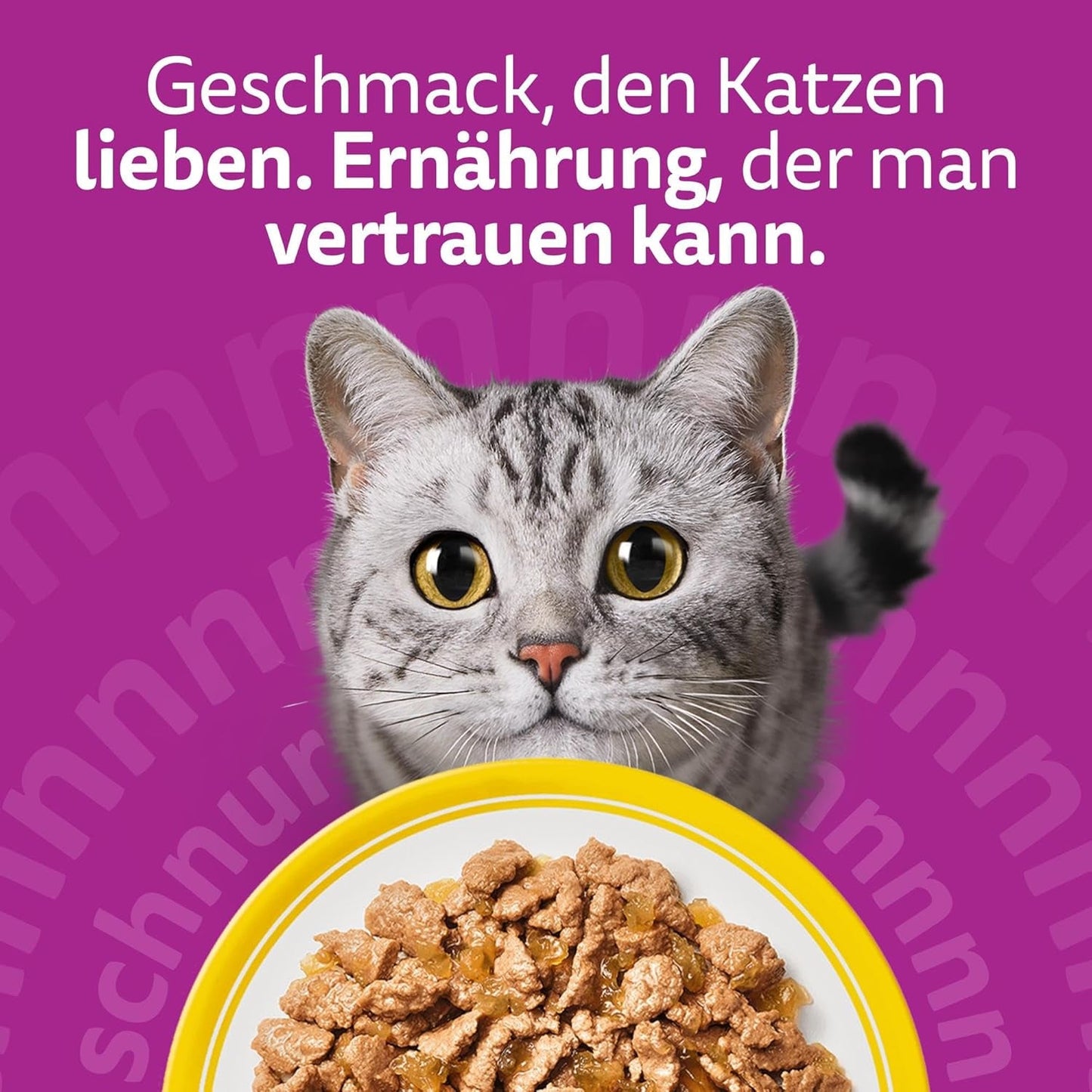 WHISKAS Mokra karma dla kotów w galarecie 120 x 85g Wybór drobiu
