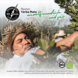 VITSTORM® Slim Tea Kardamon – BIO Herbata Yerba Mate – Herbata oczyszczająca i moczopędna – 100G