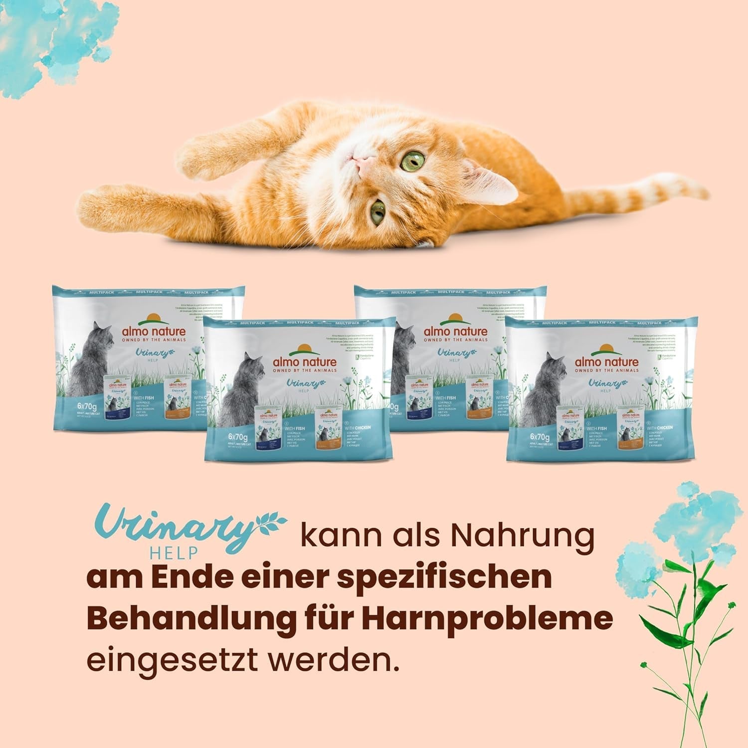 Almo Nature Functional Urinary Help - Nassfutter für ausgewachsene Katzen mit Fisch - Unterstützung für die Gesundheit der Harnwege - 30 torebek po 70g