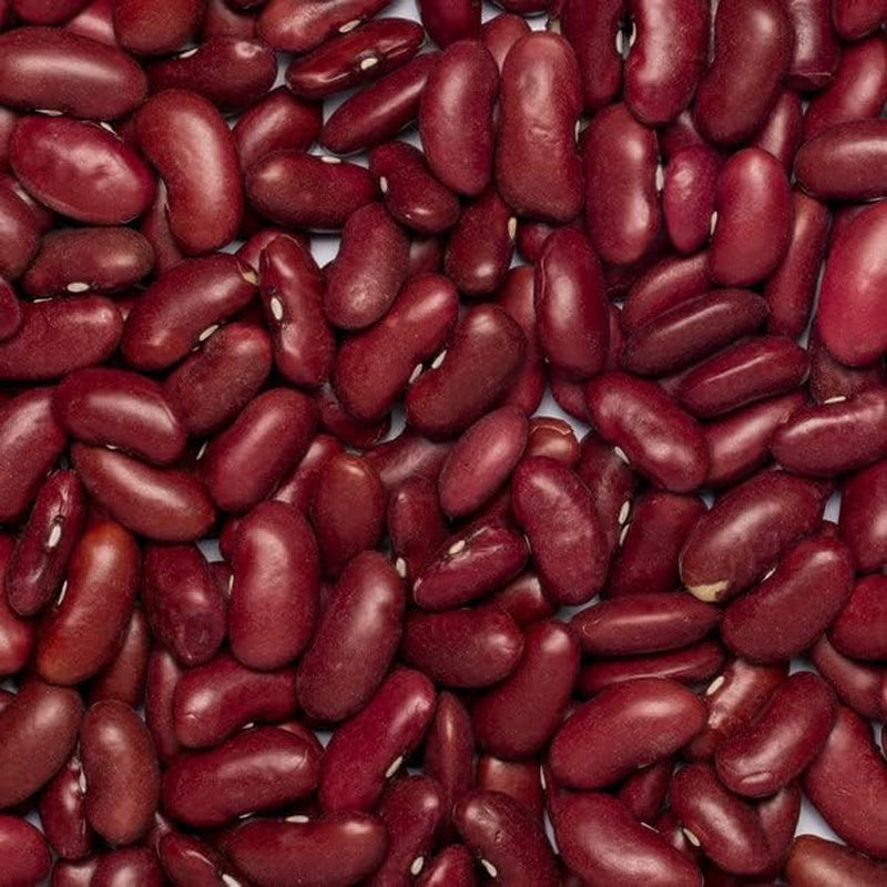 Fasola czerwona Pełnoziarnista Ziemia Organiczna 1kg Surowa | wegańskie | Bez GMO | Ciemnoczerwony | Bogaty w błonnik | Bogaty w białko | Certyfikowane organiczne