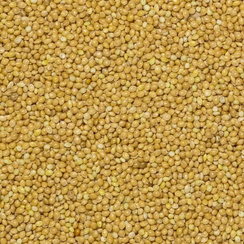 Proso ziemne pełnoziarniste - bez GMO - naturalne - wegańskie - bez nabiału - bez dodatku cukru - 1 kg