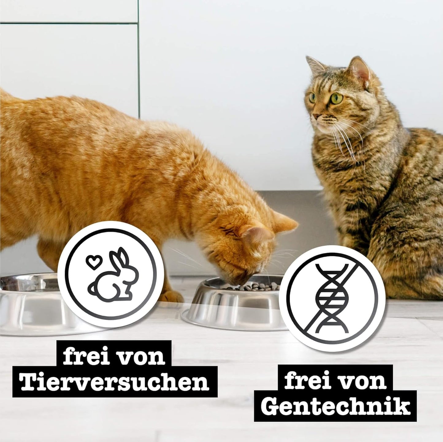 Mokra karma dla kotów Catz Finefood Purrrr z monoproteiną i łososiem nr 1 105, dla kotów z wrażliwym układem trawiennym, 16 x 80 g
