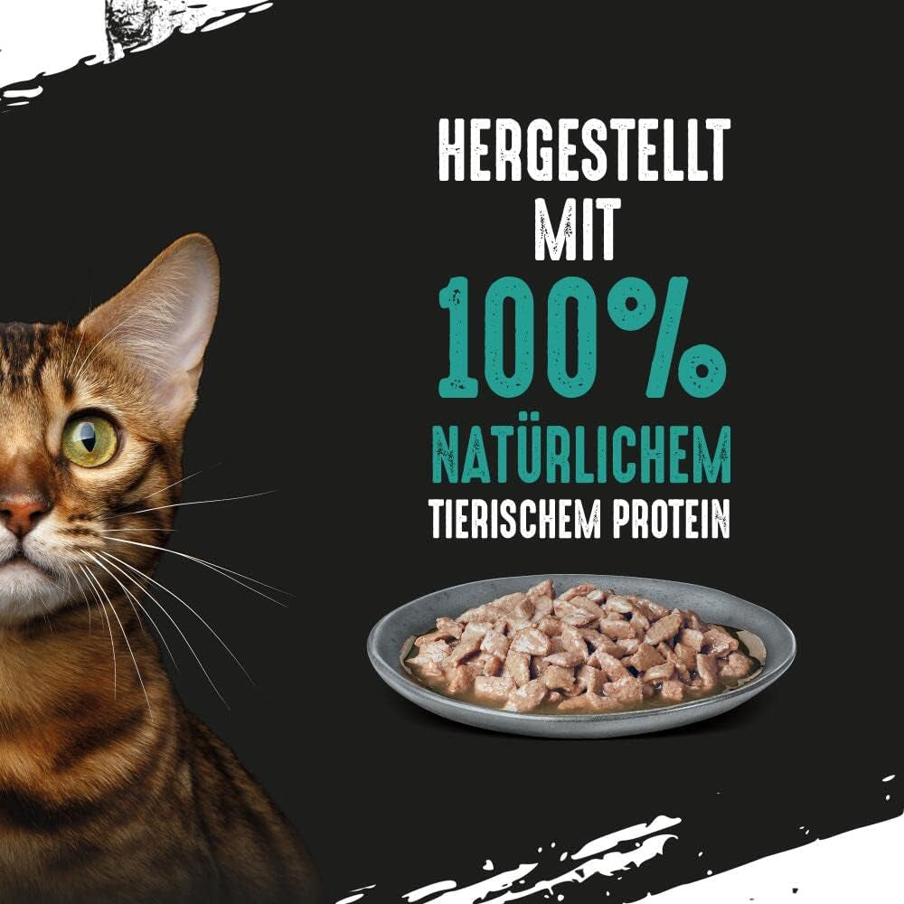 CRAVE Katze Portionsbeutel Wielopak sosu z tuńczykiem 13 x 4x85g