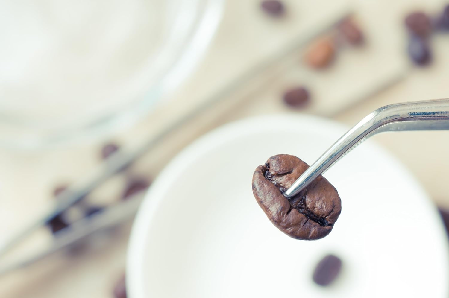 NIK CAFE' – mieszanka Classico – palone ziarna kawy. Jego Ekscelencja, ten mocny. 100% solidny