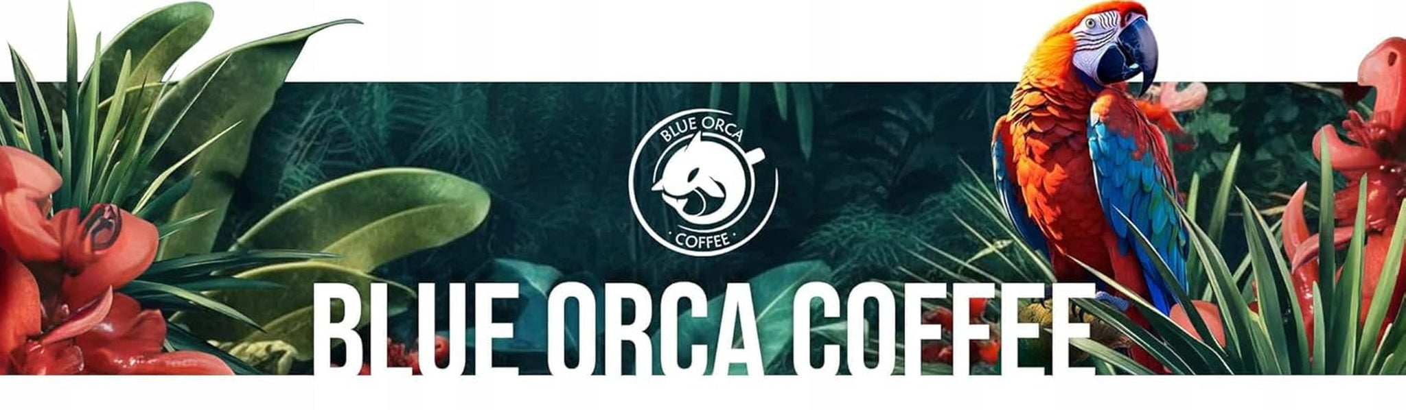 Kawa mielona DE BOA 1KG | 100% Arabiki | z nutą czekolady i orzechów | średnio palone ziarna kawy, niska kwasowość | idealny do ekspresów | Palarnia kawy Blue Orca