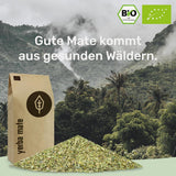 BIO Herbata Yerba Mate 1 kg ● Oryginalna ● Dojrzała ● Niepalona ● Suszona na powietrzu ● Bezdymna ● Bez plastiku ● Sprawiedliwy Handel ● Herbaty Mate z liści mate, kawałków mate i sproszkowanych liści mate ● DE-ÖKO-006