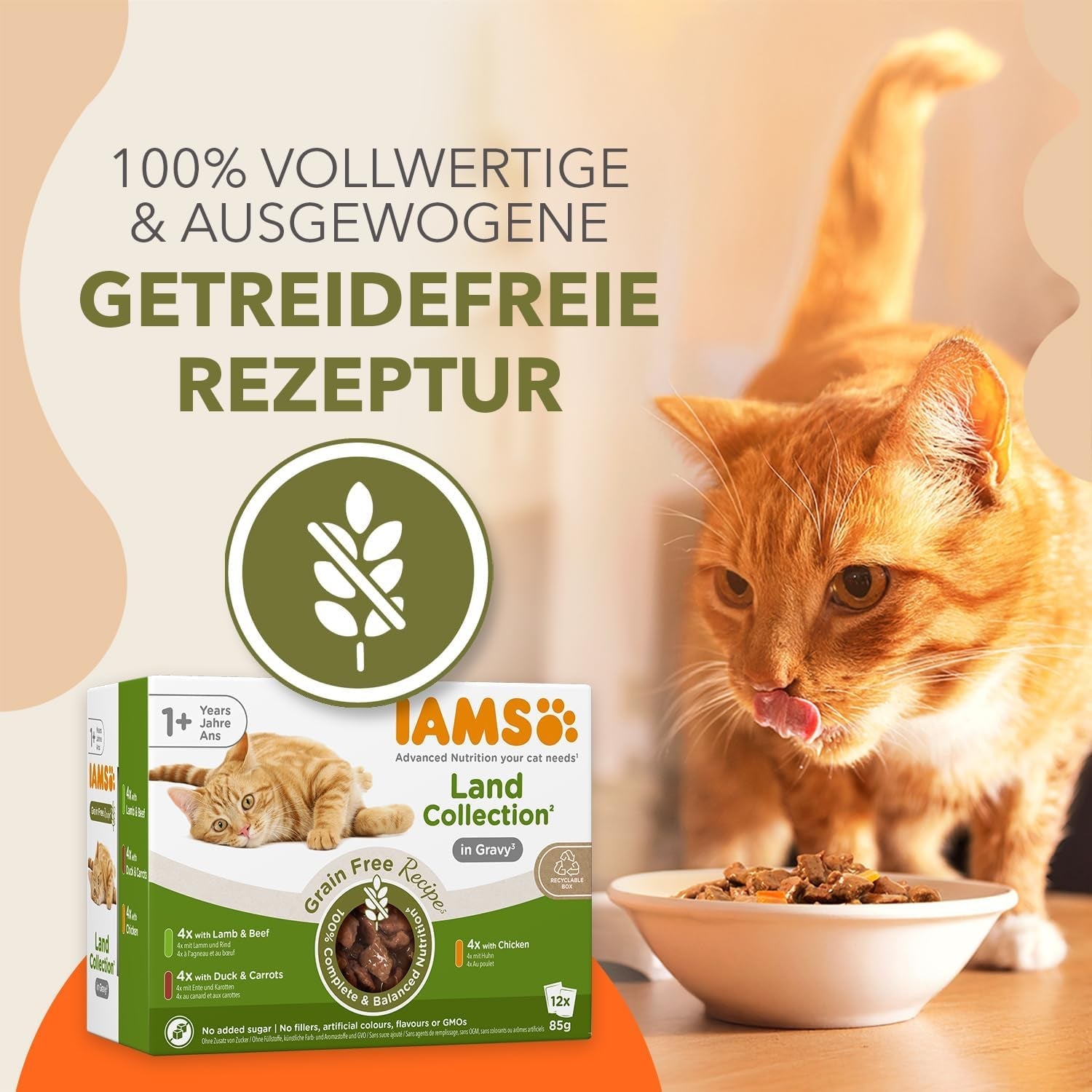 IAMS Delights Land Collection Bezzbożowa mokra karma dla kotów - Mięsne opakowanie różnorodne Mokra karma bezzbożowa dla kotów w wieku 1 roku i starszych 12 x 85 g