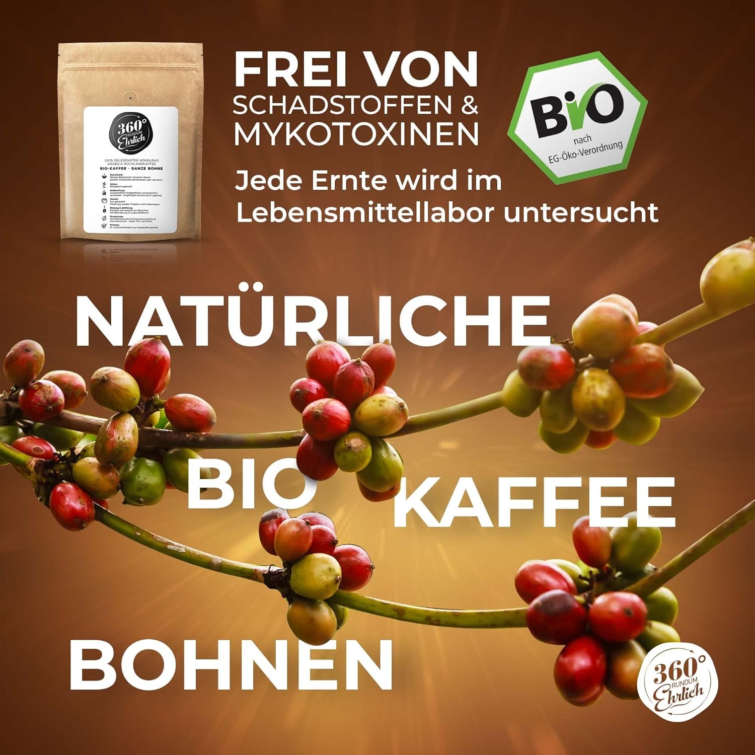 Premium Bio Kaffeebohnen 1000g, 100% Honduras Hochland Arabica Kaffeebohnen Bio - Köstlich, łagodna, säurearm - Bio Kaffee ganze Bohnen - Ideal als Kaffeebohnen Vollaautomat - 360° Rundum Ehrlich