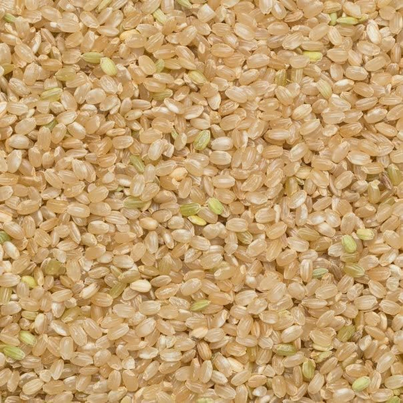 Wholefood Earth krótkoziarnisty ryż brązowy - bez GMO - naturalny - wegański - bez nabiału - bez dodatku cukru, 2 kg