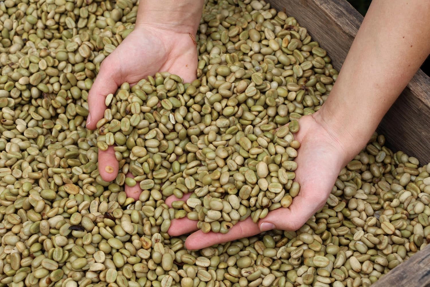 | Przykładowe opakowanie kawy ziarnistej 1 kg | Supreme 500g i Gourmet Arabica 500g | Niska kwasowość | Delikatny krem ​​| Najlepsze espresso do ekspresów w pełni automatycznych | Zestaw do degustacji kawy