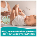 Chusteczki dla niemowląt Pampers 99% Water, 12 opakowań po 60 chusteczek = 720 chusteczek dla niemowląt, lekki balsam 99% wody