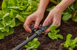 Trójnik Gardena Micro-Drip-System do dysz zraszających: połączenie rur 13 mm z dyszą zraszającą, automatyczne nawadnianie roślin, szybka i łatwa technologia łączenia, wielokrotnego użytku (13206-20)