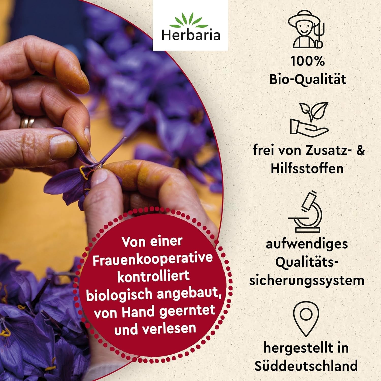 Herbaria Safran-Fäden bio 0,5g im Glas – Bio Saffron-Fäden aus dem bereicht Safran-Ort Taliouine in Marokko – Safranfäden in Premium Bio-Qualität – Saffron Premium - Safran premiera kategorii