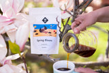 Filtr wiosennych kwiatów | 250 g pełnych ziaren | sprawiedliwe i zrównoważone | świeżo smażone | kawa ziarnista 100% Arabica | specjalna kawa | 19 gramów Cafe Roastery…